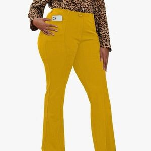 DGD Wrinkle-Free Stretch Dress Pants Plus Size for Women Pull-on Pant 2x nip